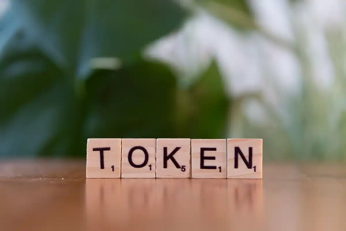 Clés d'authentification et tokens de sécurité pour accès API sur écran de développeur